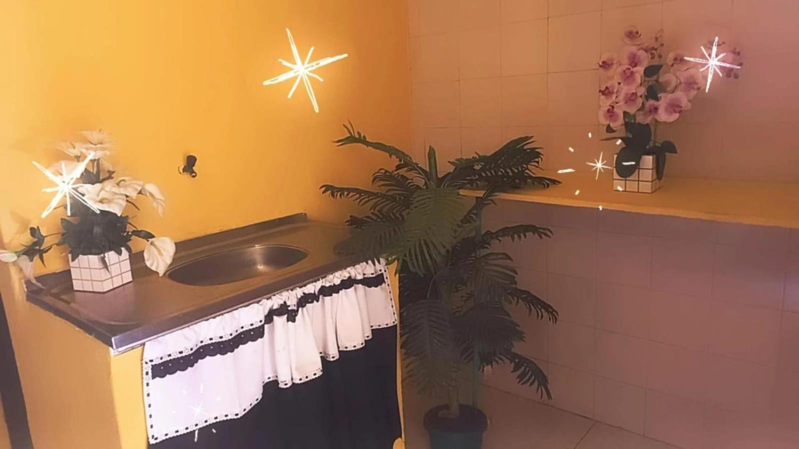Olympios House Hostel リオデジャネイロ エクステリア 写真