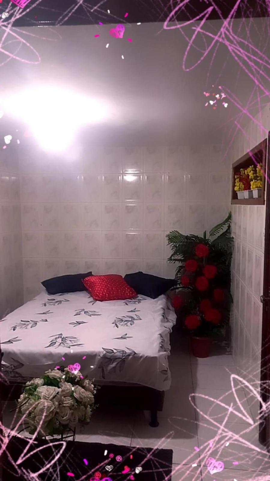 Olympios House Hostel リオデジャネイロ エクステリア 写真